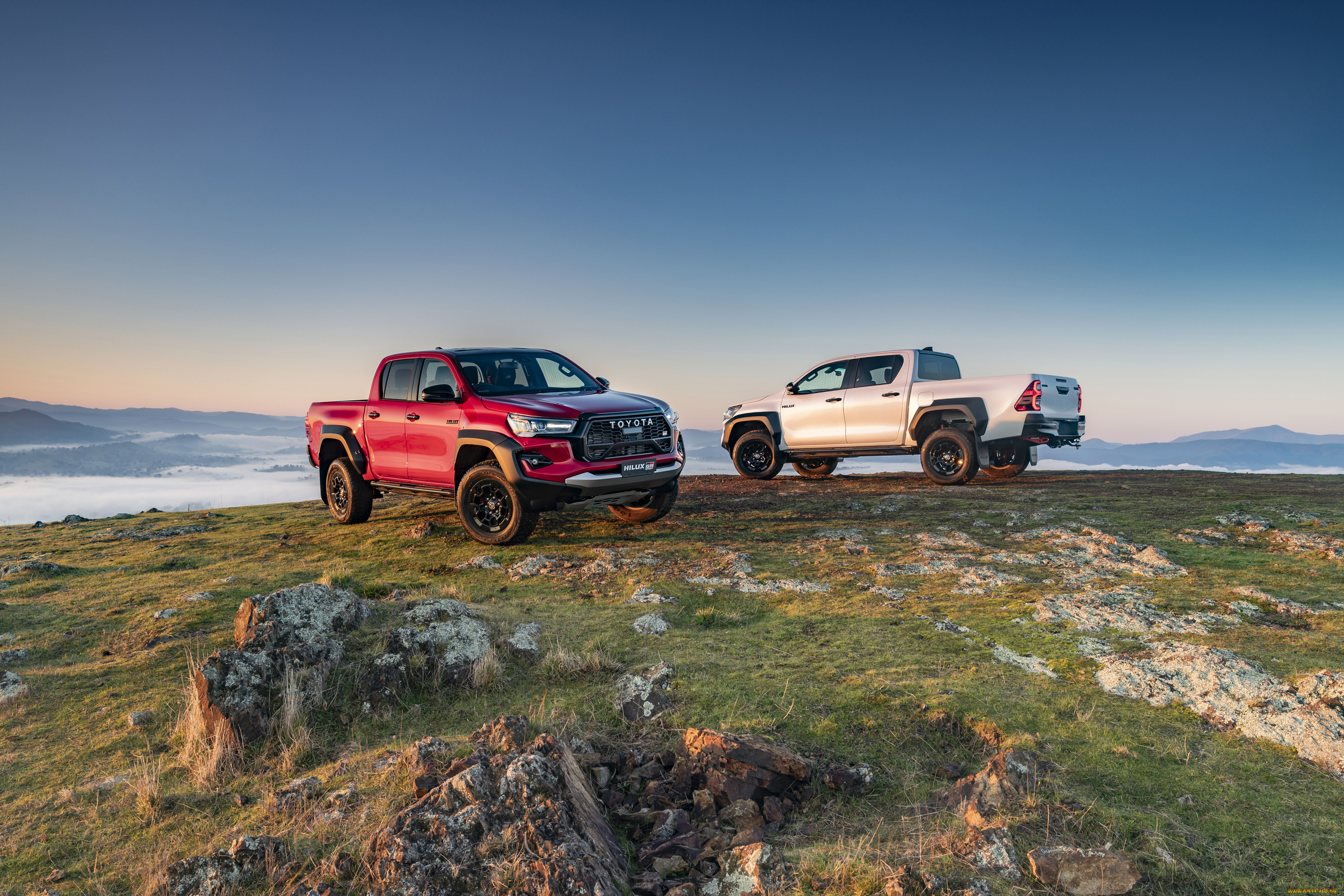 , toyota